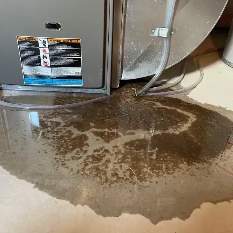 Appliance Leak Cleanup in Macon County, MO